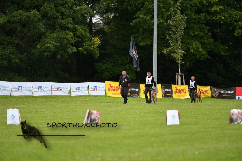 Impressionen 654.jpg